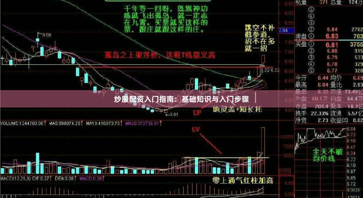 炒股配资入门指南：基础知识与入门步骤