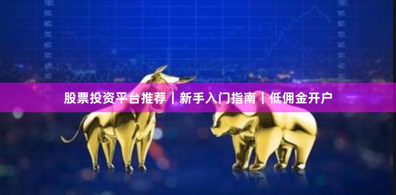 股票投资平台推荐｜新手入门指南｜低佣金开户