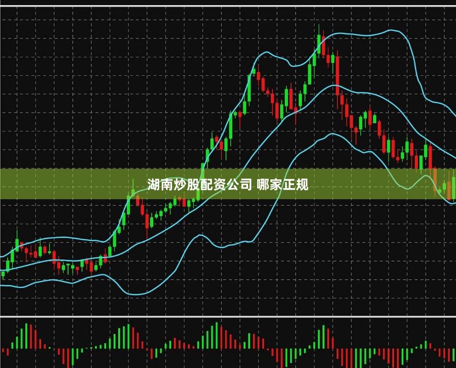 湖南炒股配资公司 哪家正规