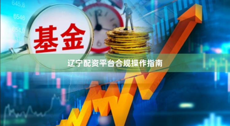 辽宁配资平台合规操作指南